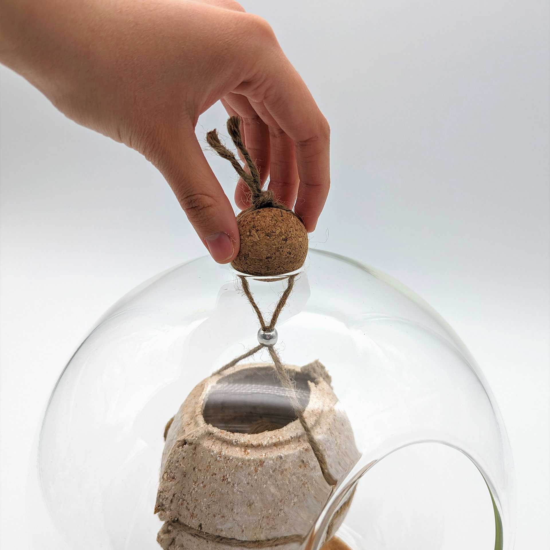 Cork topper secures the suspended mushroom container