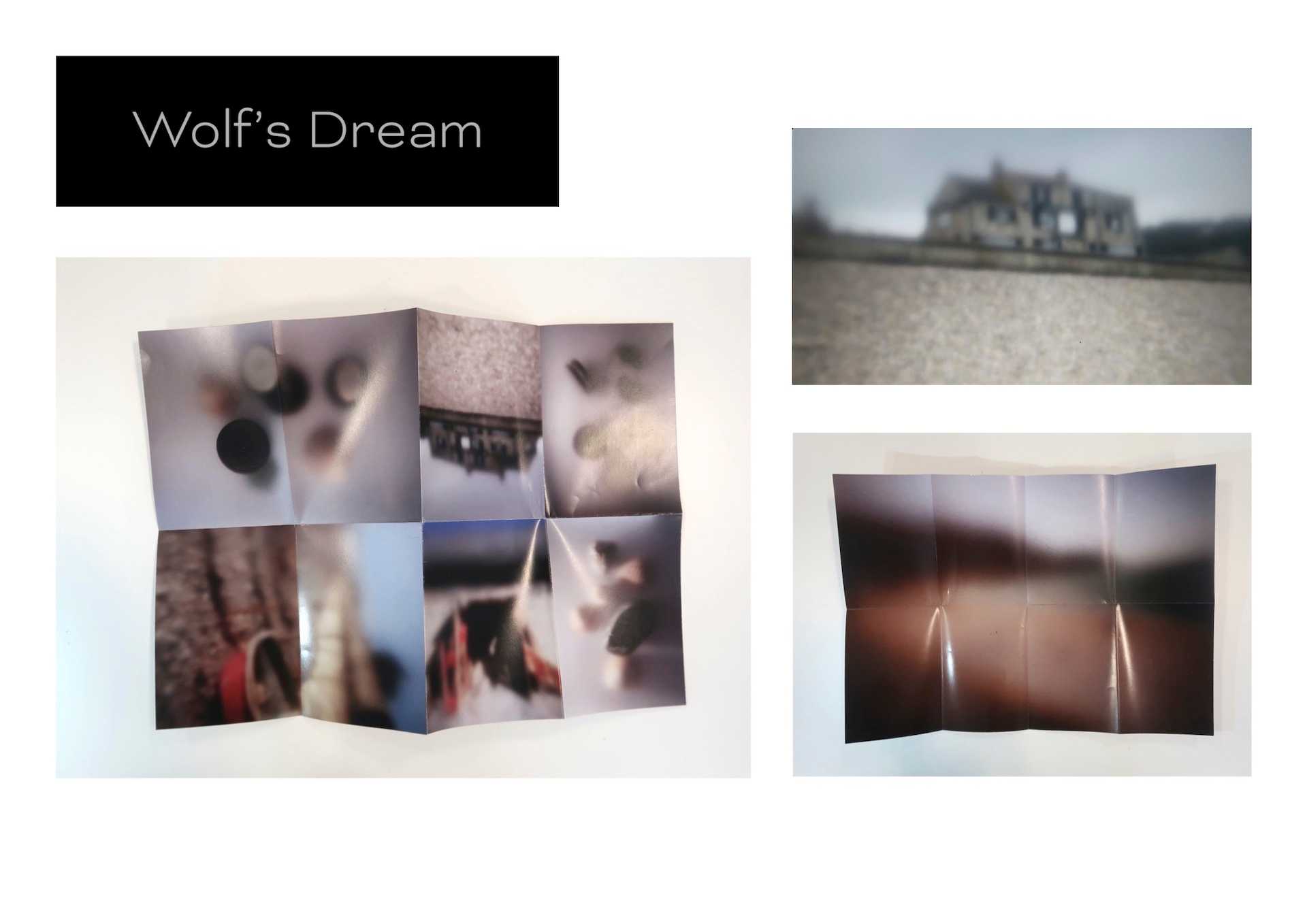 Final Major Project Book 2: Wolf's Dream “Gifts”