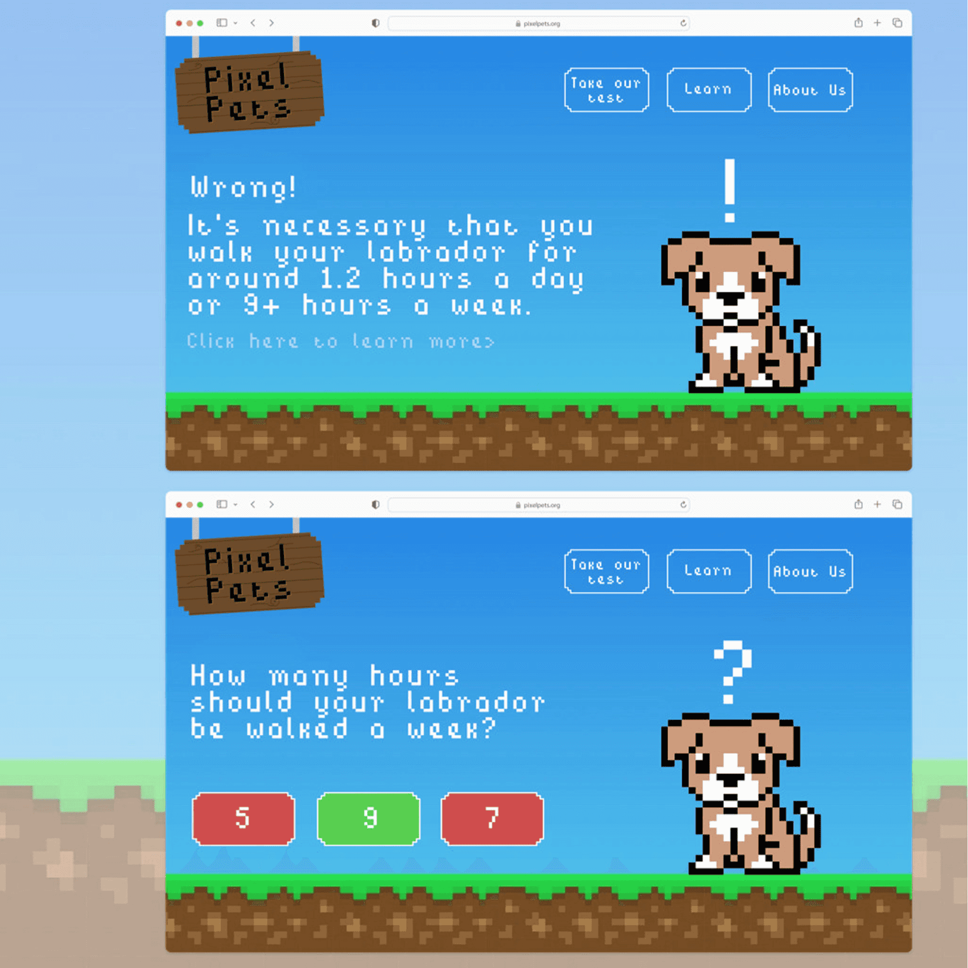 Pixel Pets Web Quiz